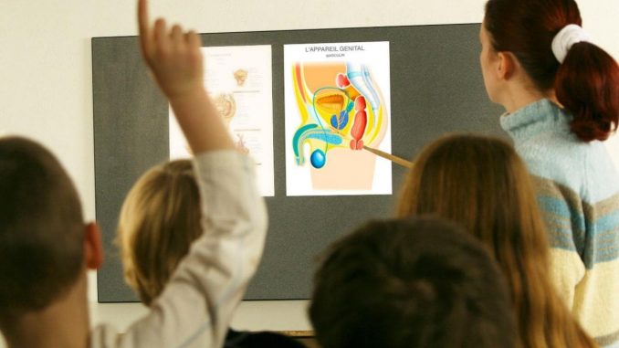 Transgender books in primary school