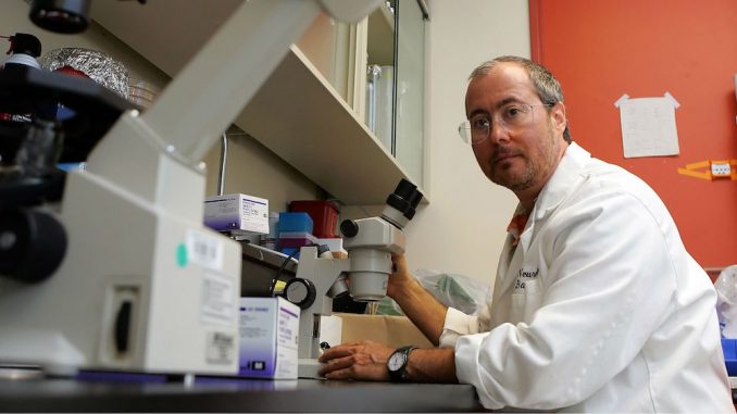 barres ben transgender scientist