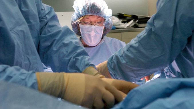 transgender surgery increase