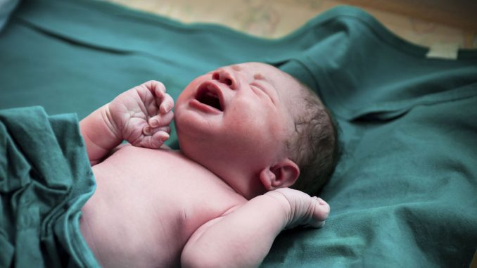 study reveals transgenderism is biology