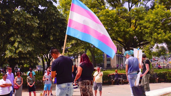 trans health Australia established