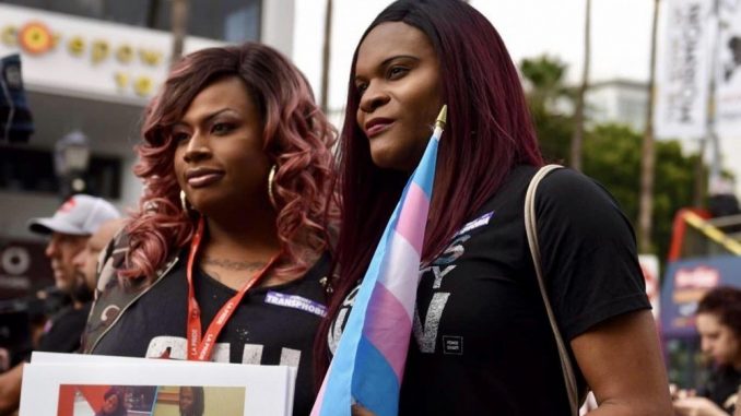 study shows increased media representation reduce transphobia
